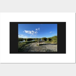 Florida Everglades Bench Posters and Art